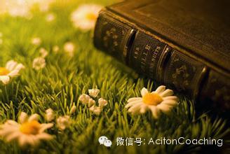 教练技术如何为客户创造觉察